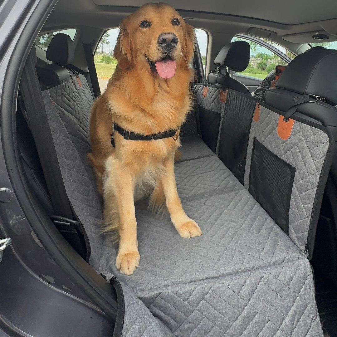 PawDream Hard Bottom Car Seat Protector
