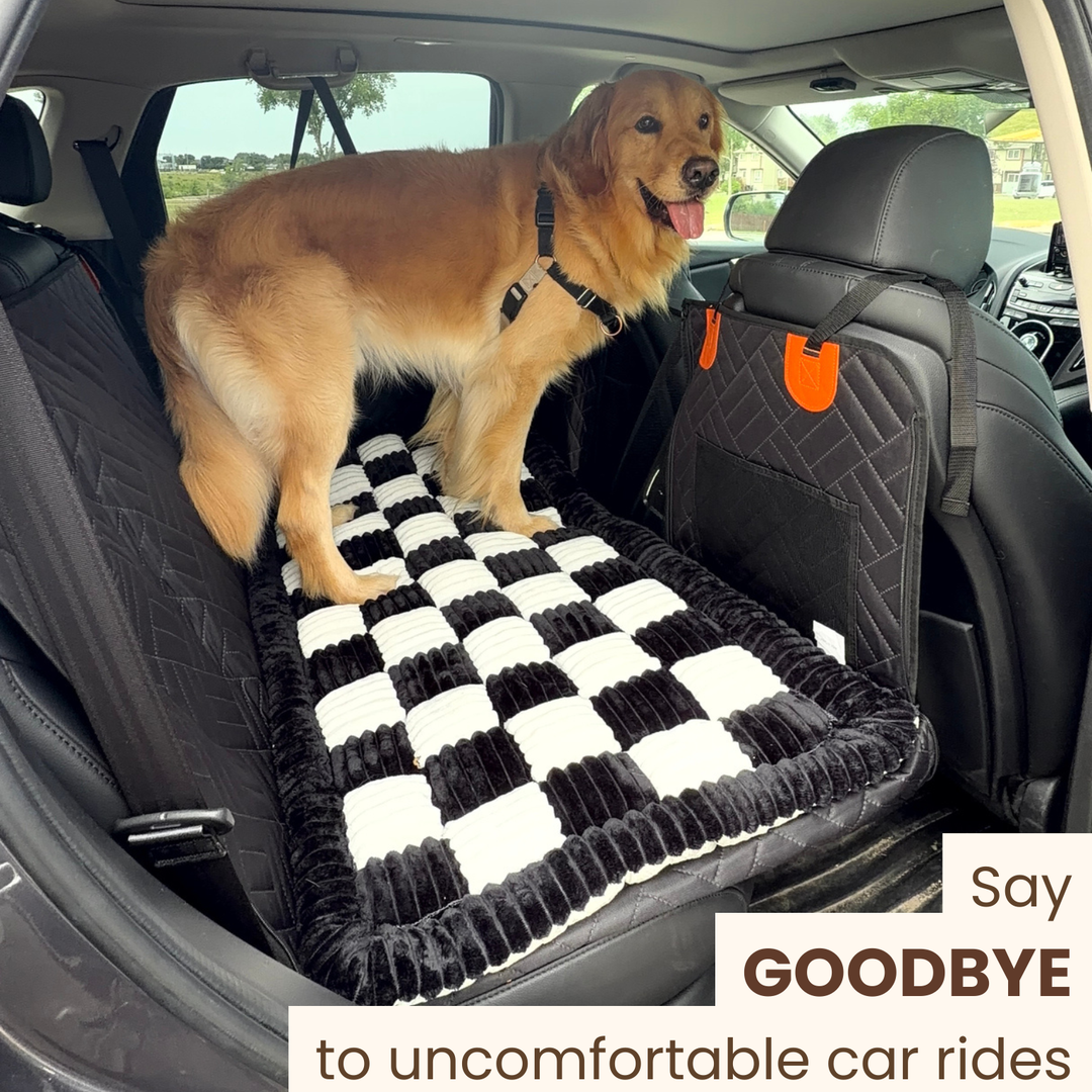 PawDream Hard Bottom Car Seat Protector