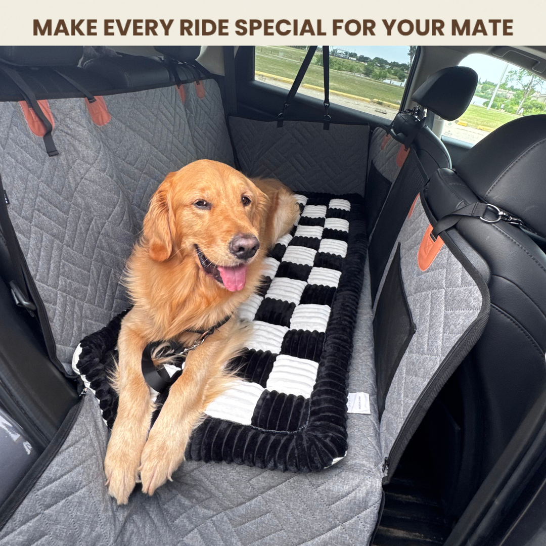 PawDream Hard Bottom Car Seat Protector